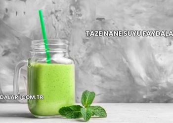 Taze Nane Suyu Faydaları