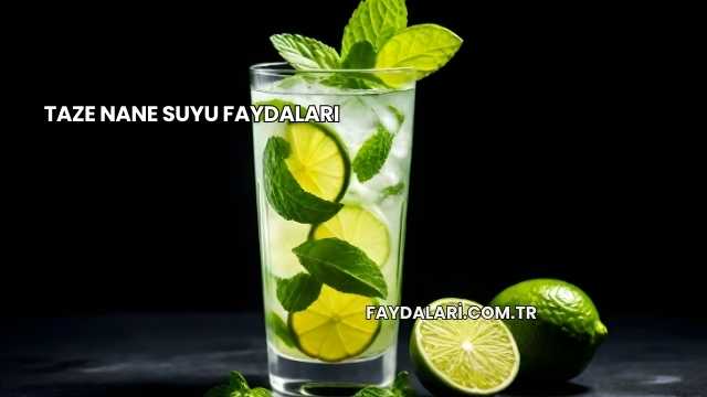Taze Nane Suyu Faydaları