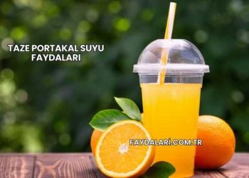 Taze Portakal Suyu Faydaları