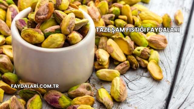 Taze Şam Fıstığı Faydaları
