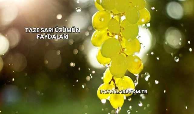 Taze Sarı Üzümün Faydaları