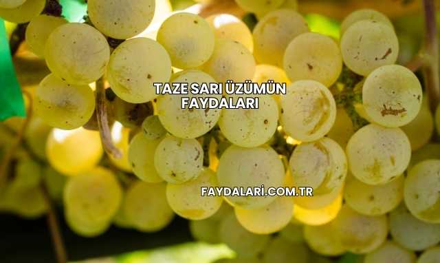 Taze Sarı Üzümün Faydaları