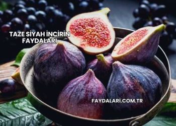 Taze Siyah İncirin Faydaları