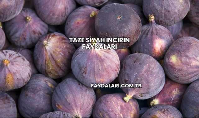 Taze Siyah İncirin Faydaları