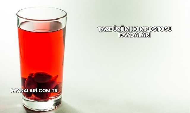Taze Üzüm Kompostosu Faydaları