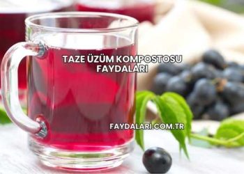 Taze Üzüm Kompostosu Faydaları