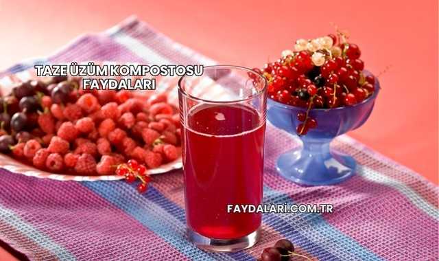 Taze Üzüm Kompostosu Faydaları
