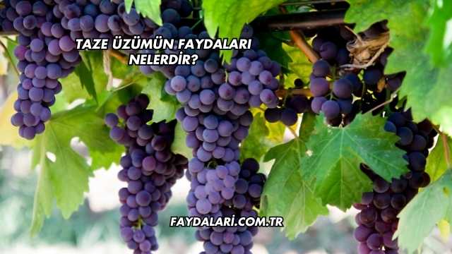 Taze Üzümün Faydaları Nelerdir?