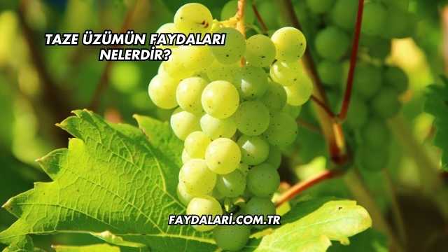 Taze Üzümün Faydaları Nelerdir?