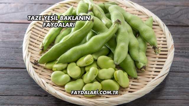 Taze Yeşil Baklanın Faydaları