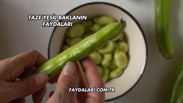 Taze Yeşil Baklanın Faydaları
