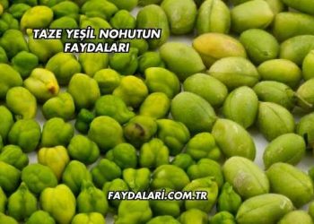 Taze Yeşil Nohutun Faydaları