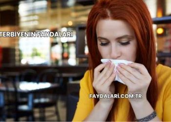 Terbiyenin Faydaları