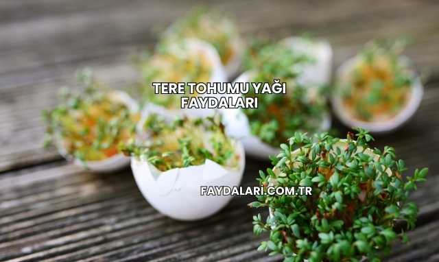 Tere Tohumu Yağı Faydaları