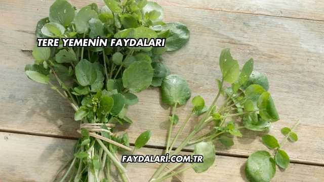Tere Yemenin Faydaları