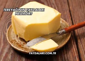 Tereyağının Faydaları Nelerdir?