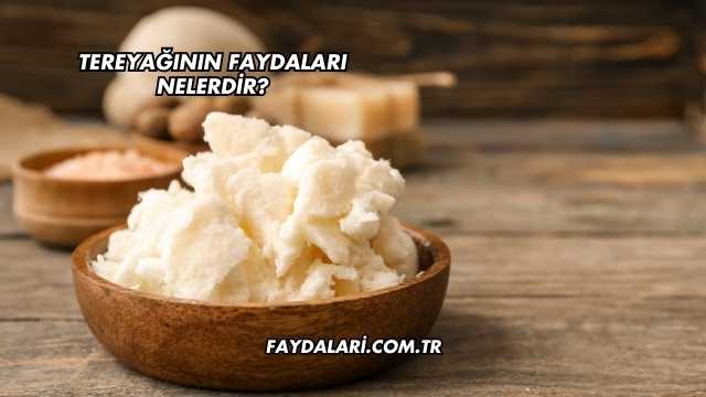 Tereyağının Faydaları Nelerdir?