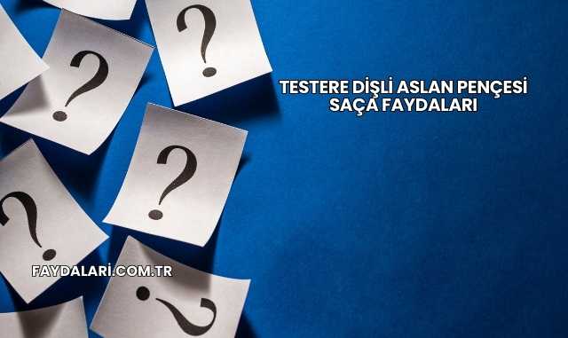 Testere Dişli Aslan Pençesi Saça Faydaları