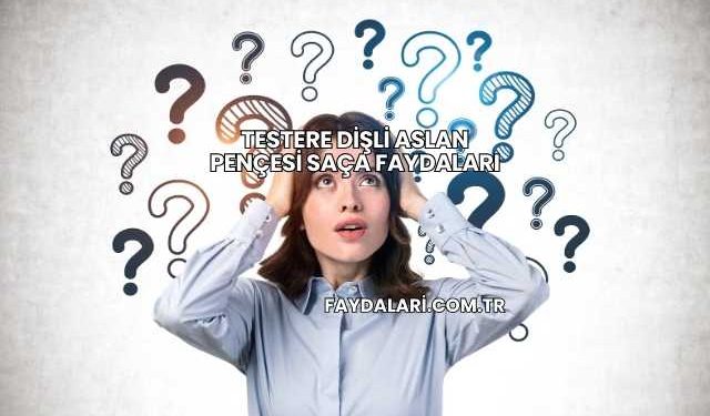 Testere Dişli Aslan Pençesi Saça Faydaları