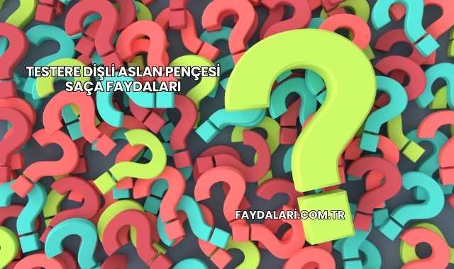 Testere Dişli Aslan Pençesi Saça Faydaları