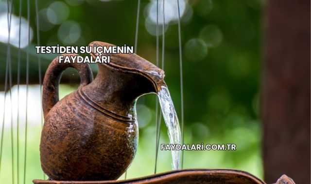 Testiden Su İçmenin Faydaları