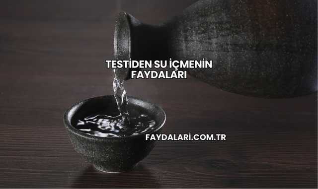 Testiden Su İçmenin Faydaları