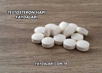 Testosteron Hapı Faydaları