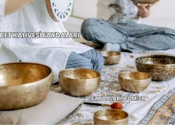 Tibet Kahvesi Faydaları