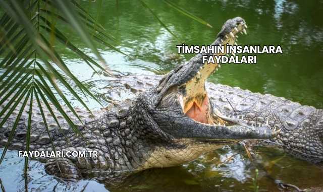 Timsahın İnsanlara Faydaları