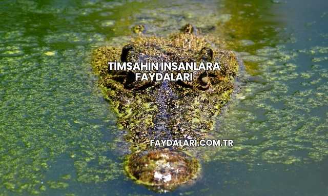 Timsahın İnsanlara Faydaları