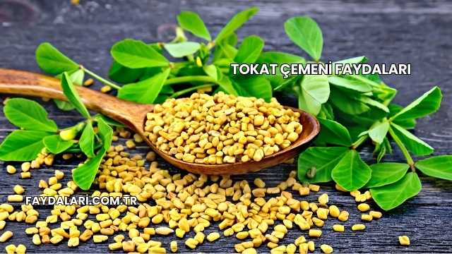 Tokat Çemeni Faydaları