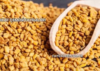 Tokat Çemeni Faydaları