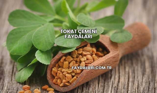 Tokat Çemeni Faydaları