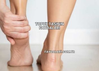 Topuk Taşının Faydaları