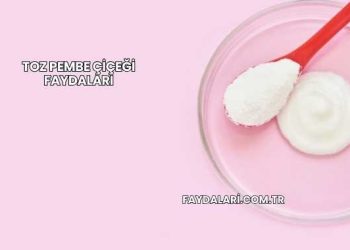 Toz Pembe Çiçeği Faydaları