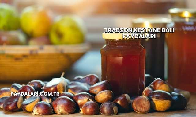 Trabzon Kestane Balı Faydaları