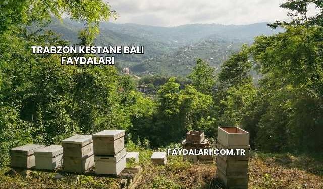 Trabzon Kestane Balı Faydaları