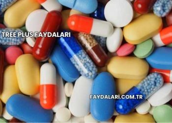 Tree Plus Faydaları