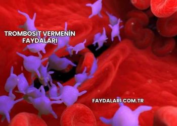 Trombosit Vermenin Faydaları