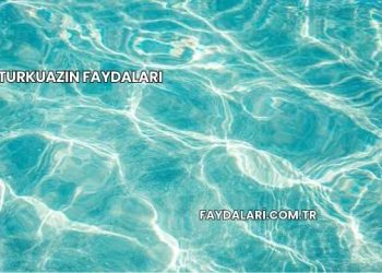 Turkuazın Faydaları