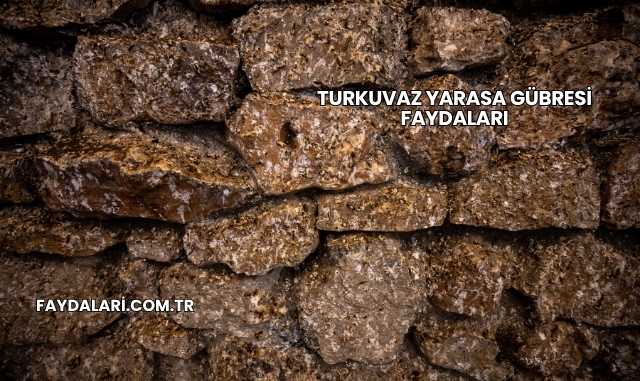 Turkuvaz Yarasa Gübresi Faydaları