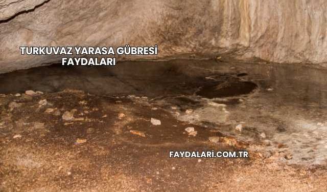 Turkuvaz Yarasa Gübresi Faydaları