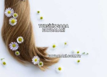 Tursilin Saça Faydaları