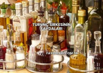 Turunç Sirkesinin Faydaları