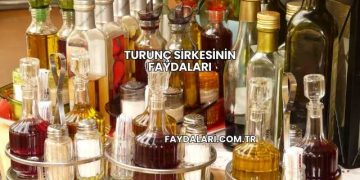 Turunç Sirkesinin Faydaları
