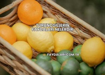 Turunçgillerin Faydaları Nelerdir