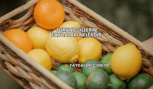 Turunçgillerin Faydaları Nelerdir