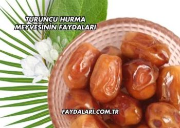 Turuncu Hurma Meyvesinin Faydaları