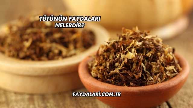 Tütünün Faydaları Nelerdir?