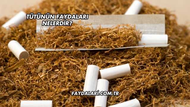 Tütünün Faydaları Nelerdir?